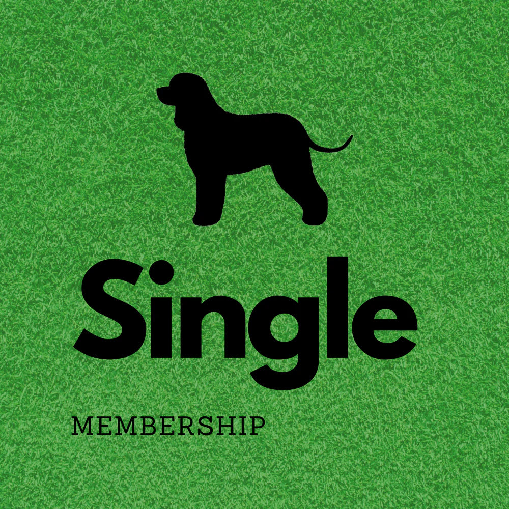 Annual Membership