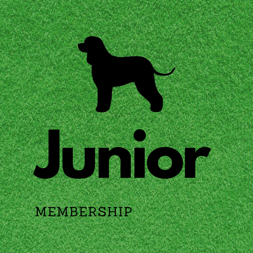 Annual Membership