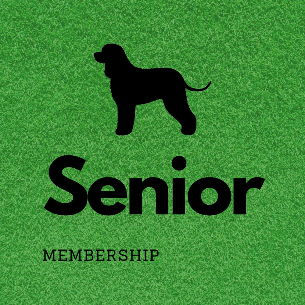 Annual Membership